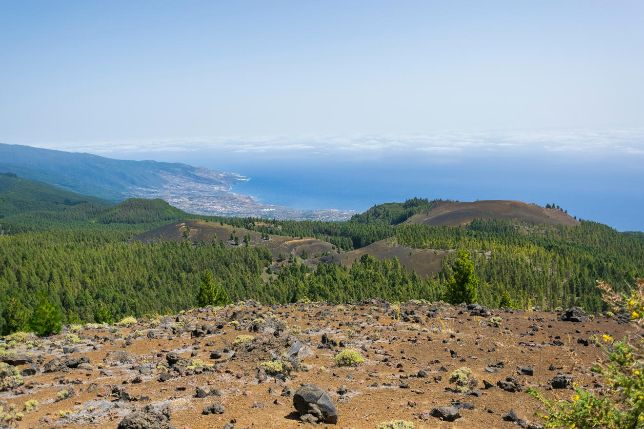 Landschaft auf La Palma - ein schöner Ort zum Heiraten