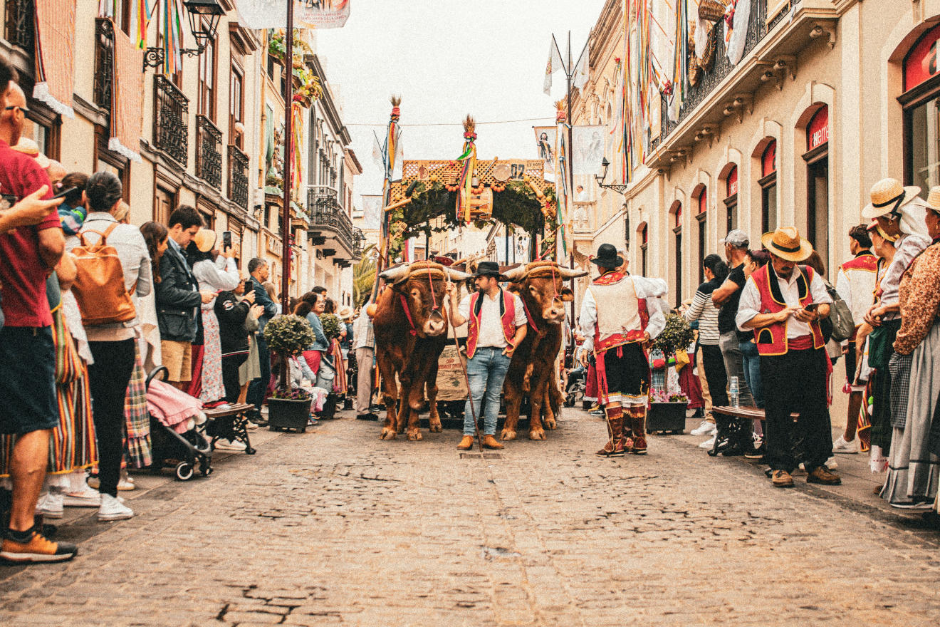 Für eine Hochzeit auf den Kanarischen Inseln müssen bestimmte Formalitäten erfüllt sein, dazu zählt ein gültiger Reisepass. Bräuche und Traditionen auf den Kanaren
